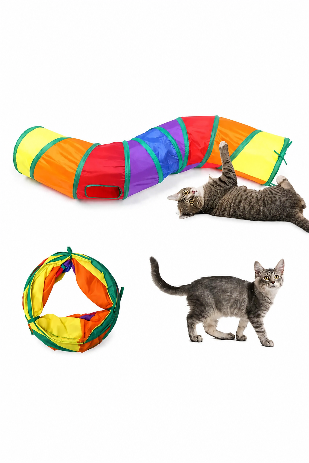 Cat Tunnel