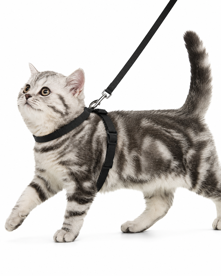 Cat Harness & Leash Set