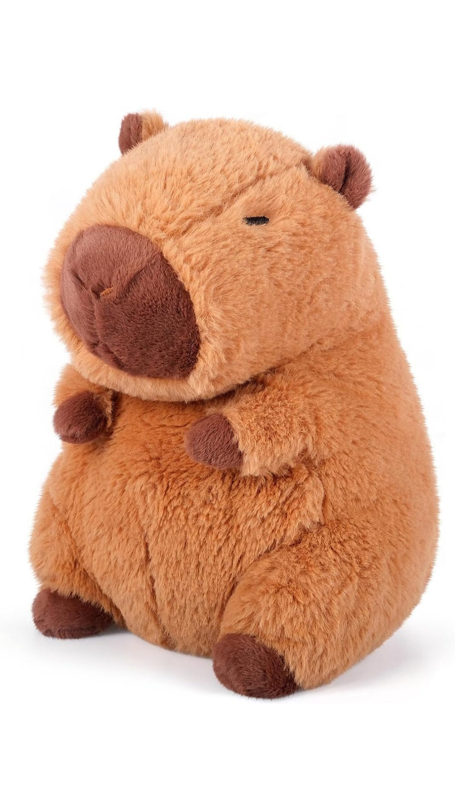 Capybara Plush